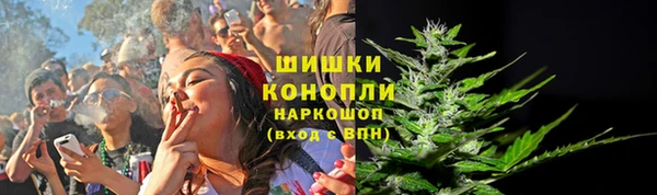 ПСИЛОЦИБИНОВЫЕ ГРИБЫ Киреевск