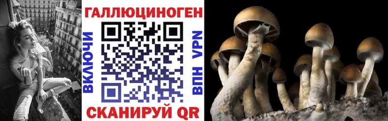 Галлюциногенные грибы мицелий  Владикавказ 