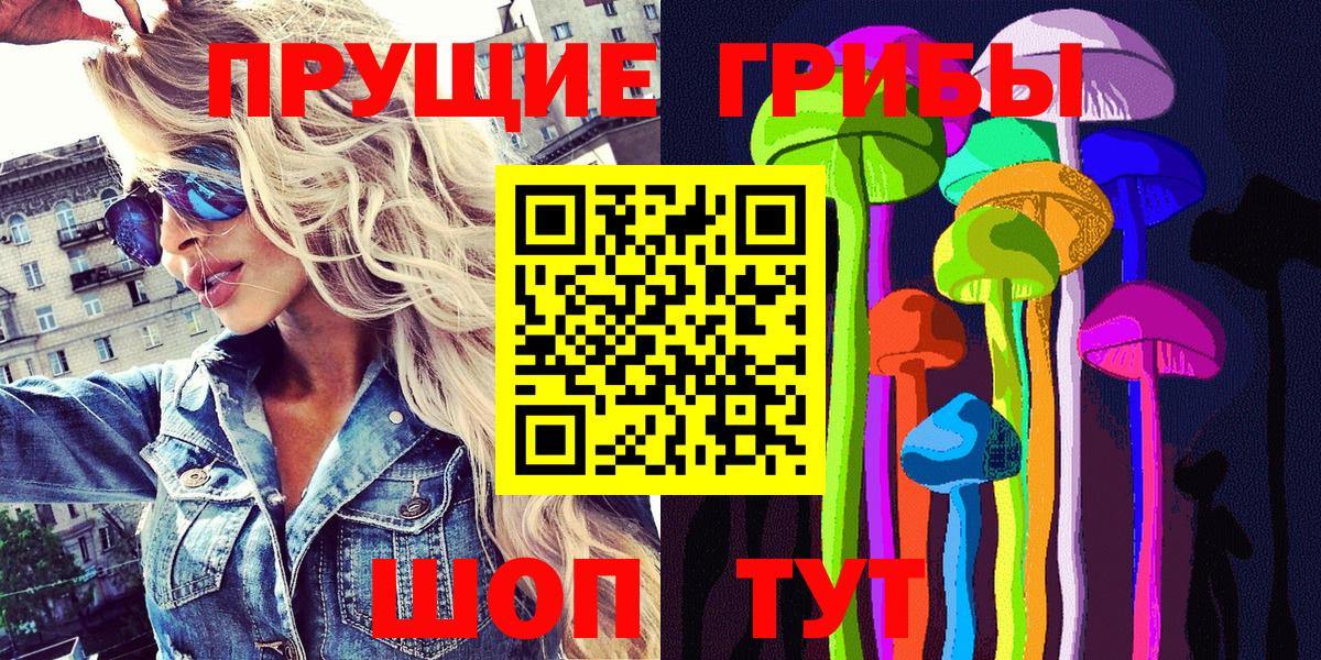 Псилоцибиновые грибы Cubensis  Владикавказ 