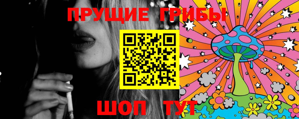 купить наркотик  Галлюциногенные грибы GOLDEN TEACHER  Вход с VPN  Владикавказ 