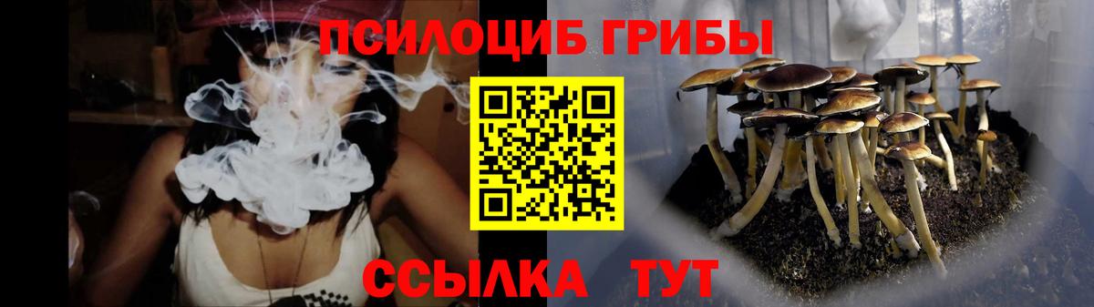 Галлюциногенные грибы мухоморы Владикавказ